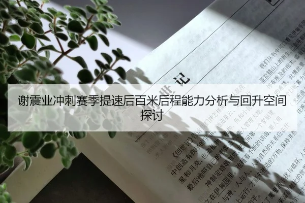xie-zhen-ye-chong-ci-sai-ji-ti-su-hou-bai-mi-hou-cheng-neng-li-fen-xi-yu-hui-sheng-kong-jian-tan-tao-1-586.jpg