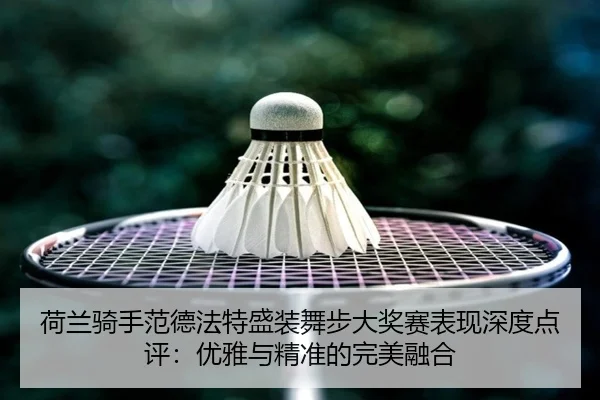 he-lan-qi-shou-fan-de-fa-te-sheng-zhuang-wu-bu-da-jiang-sai-biao-xian-shen-du-dian-ping-you-ya-yu-jing-zhun-de-wan-mei-3-968.jpg